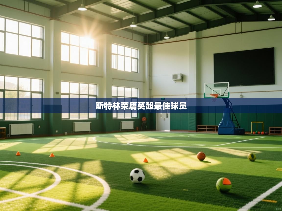 斯特林荣膺英超最佳球员  第2张